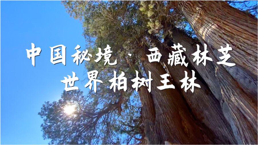 精彩热议尽在